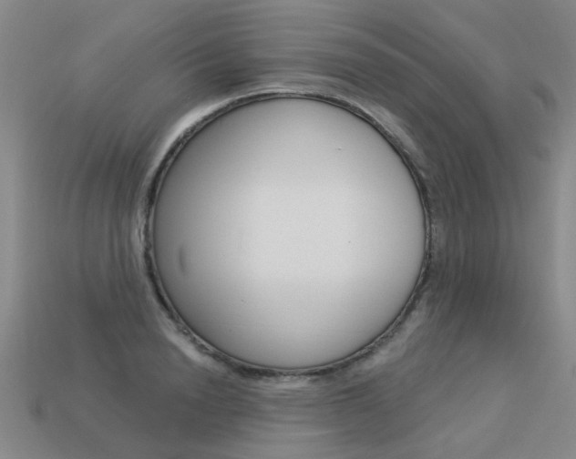 X0000113550846200909180957
