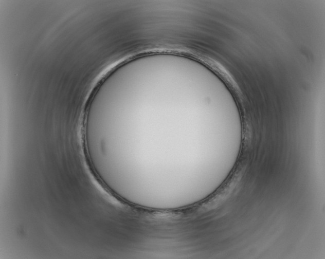 X0000113550847200909180958