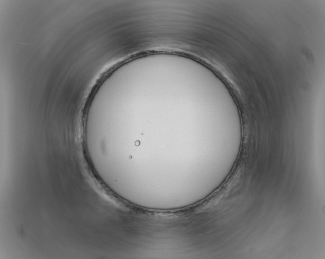 X0000113550848200909180958