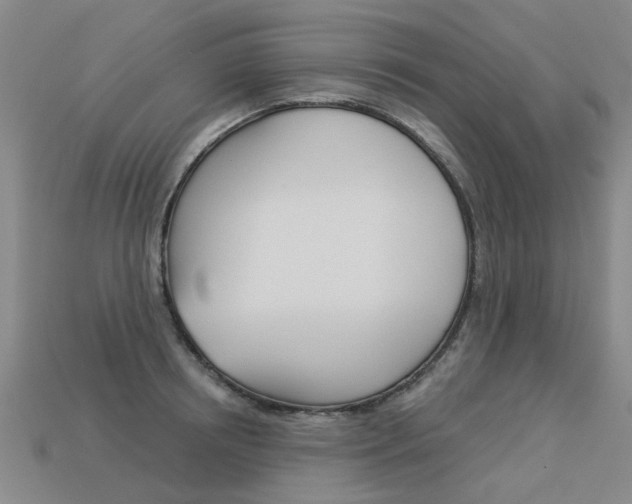 X0000113550850200909180958