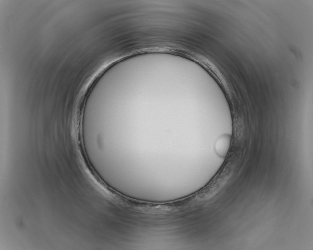 X0000113550851200909180958