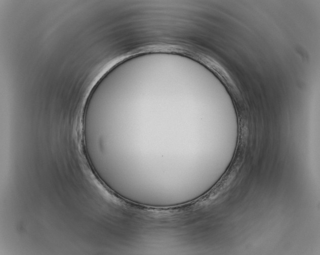 X0000113550852200909180958