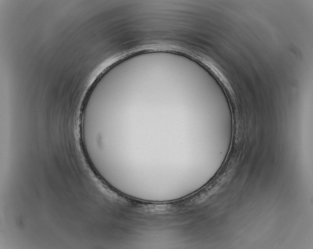 X0000113550853200909180958