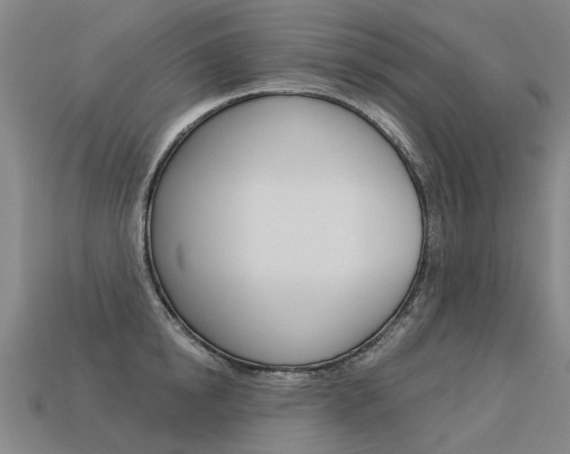 X0000113550854200909180958