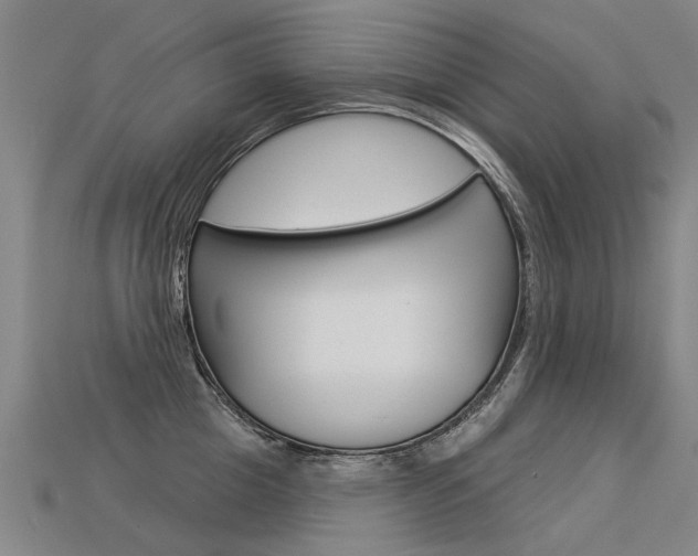 X0000113550857200909180958