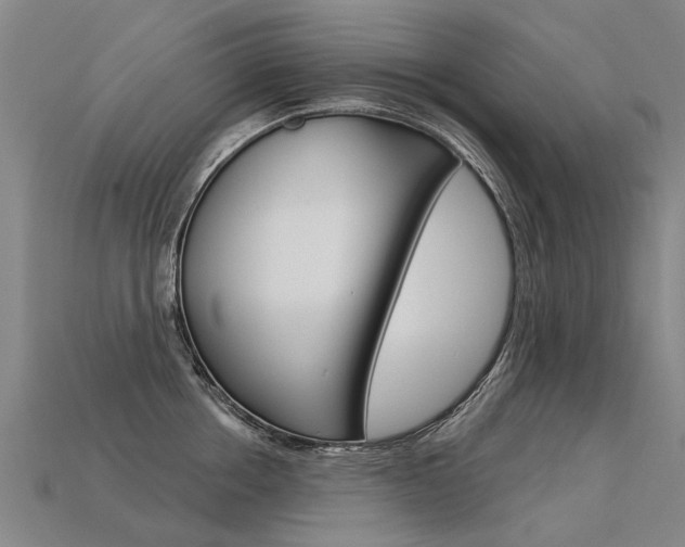 X0000113550858200909180958