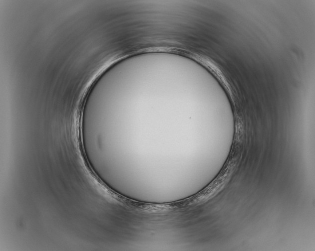 X0000113550859200909180958