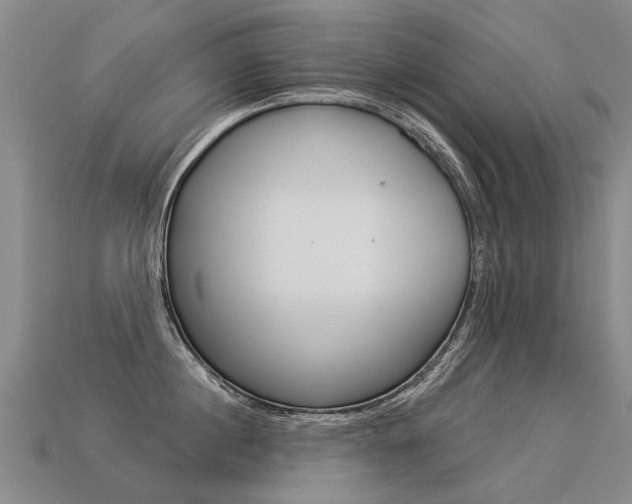 X0000113550860200909180958