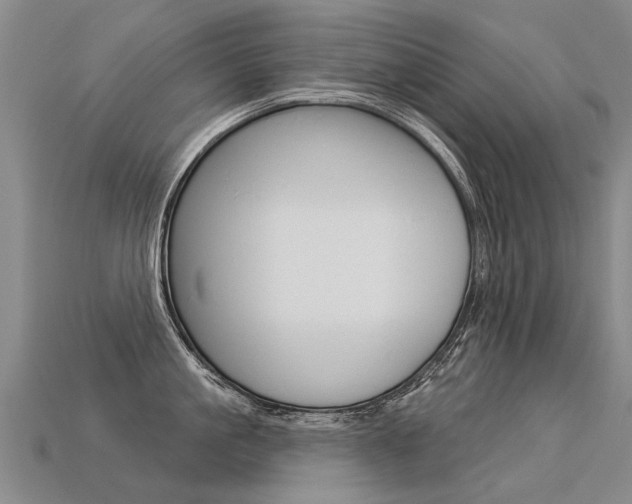 X0000113550861200909180958