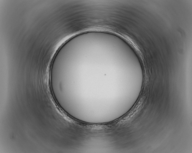 X0000113550862200909180958
