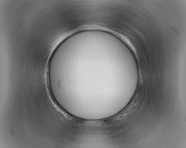 X0000113550863200909180958