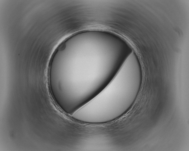 X0000113550864200909180958