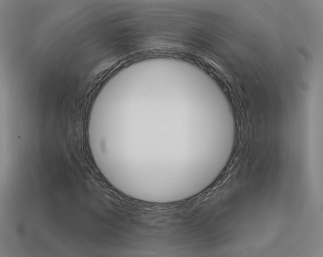 X0000113550869200909180957