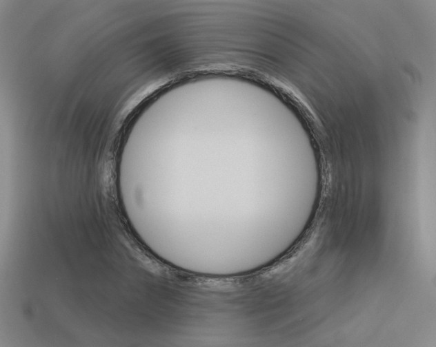 X0000113550874200909180957