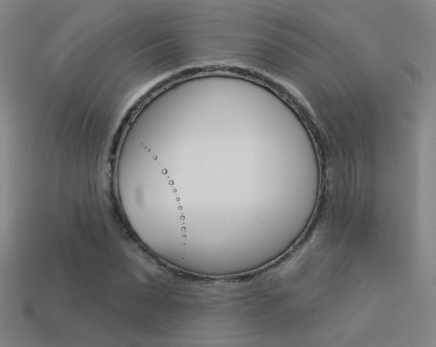 X0000113550879200909180957