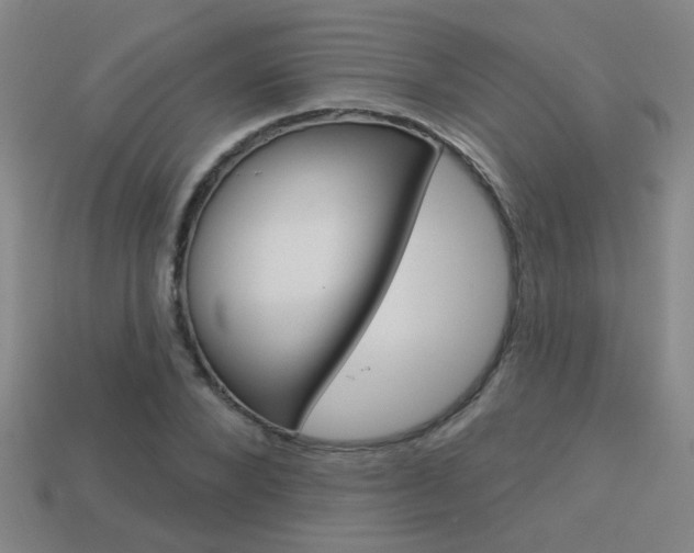 X0000113550880200909180957