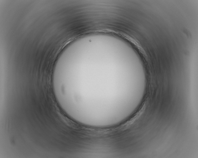 X0000113550881200909180957