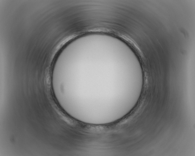 X0000113550882200909180957