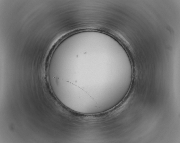 X0000113550883200909180957