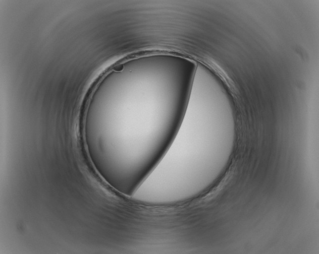 X0000113550884200909180957
