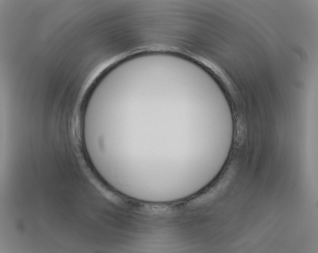 X0000113550886200909180957