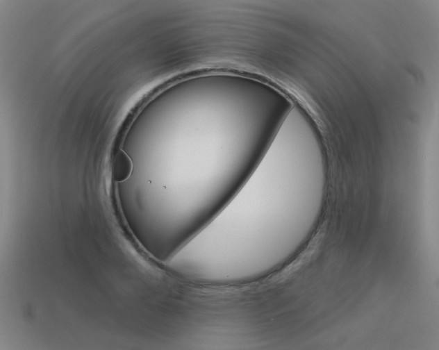 X0000113550888200909180957