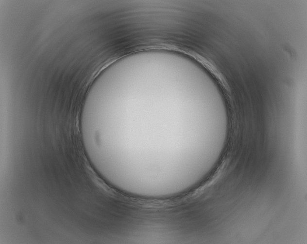 X0000113550889200909180957