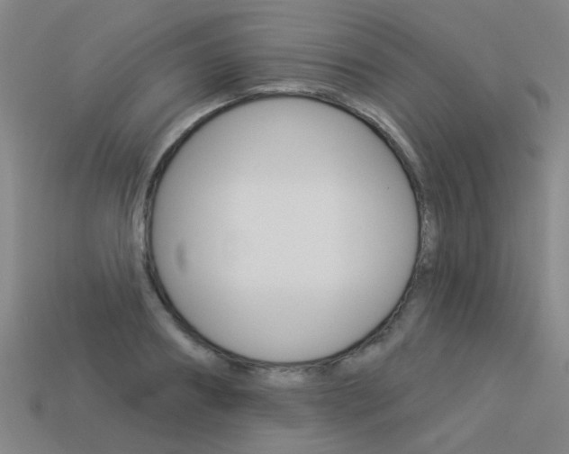 X0000113550890200909180957