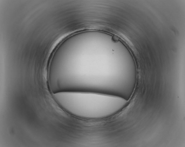 X0000113550891200909180957