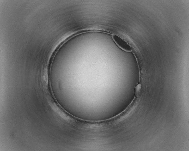 X0000113550892200909180957