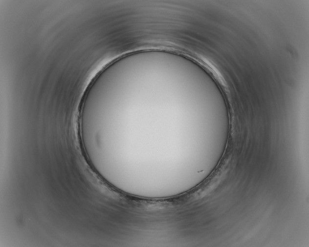X0000113550899200909180957