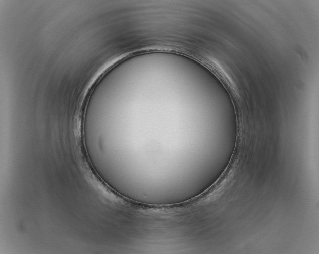 X0000113550900200909180957