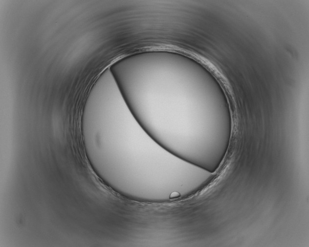 X0000113550905200909180957