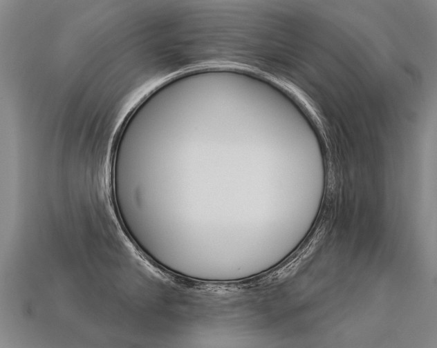 X0000113550910200909180957