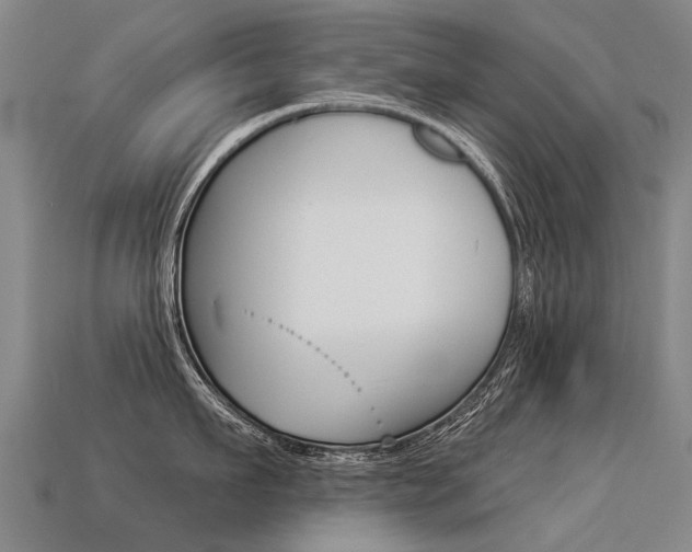 X0000113550911200909180957