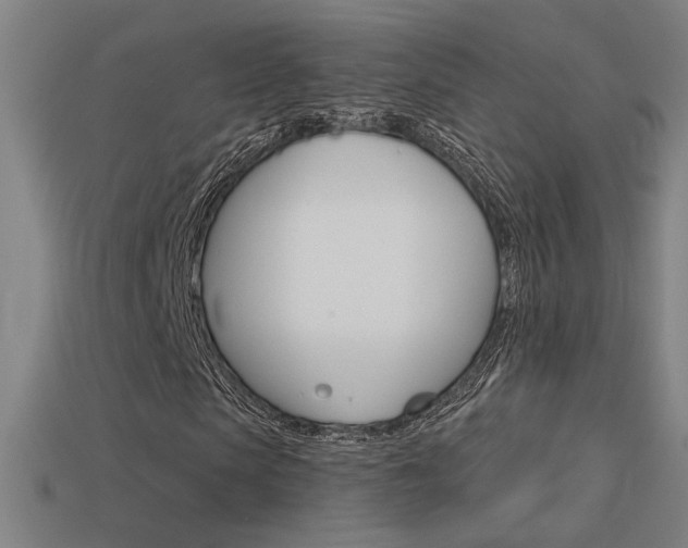 X0000113550913200909180956