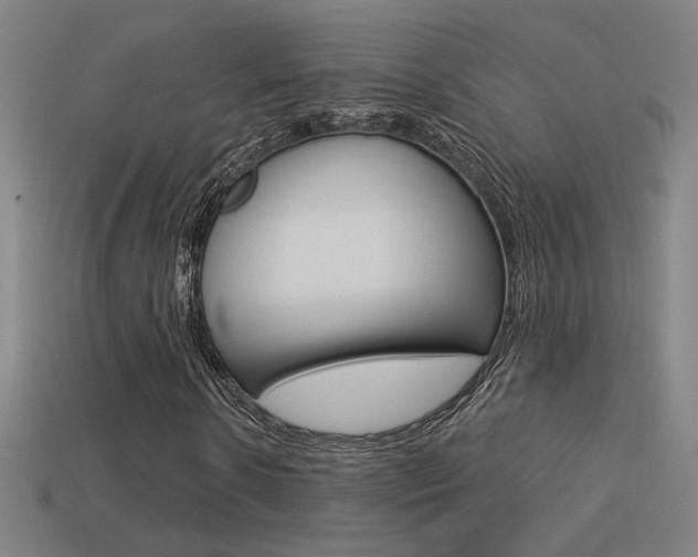 X0000113550914200909180956