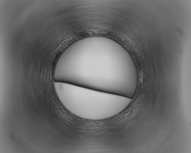 X0000113550915200909180956