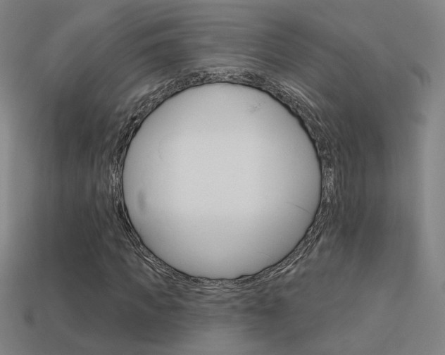 X0000113550917200909180956