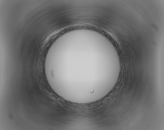 X0000113550920200909180956