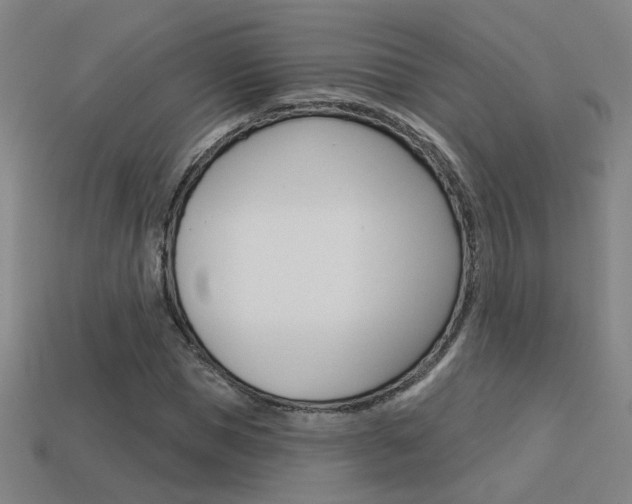 X0000113550921200909180956