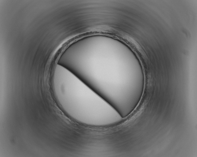 X0000113550923200909180956