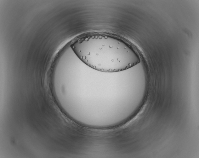 X0000113550925200909180956