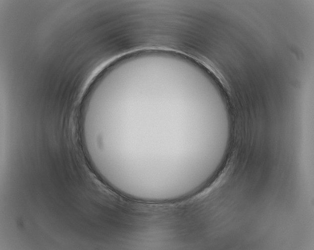 X0000113550926200909180956