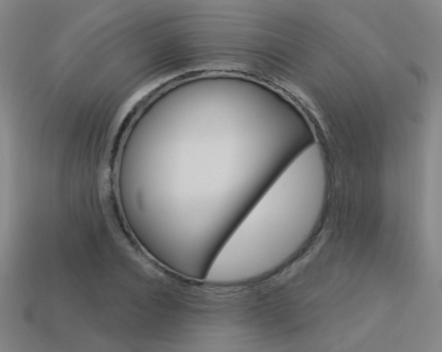 X0000113550928200909180956