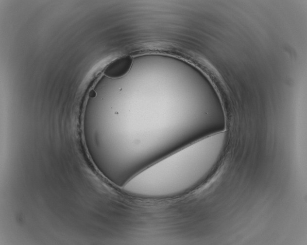 X0000113550930200909180956