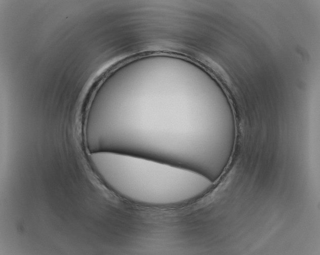 X0000113550931200909180956
