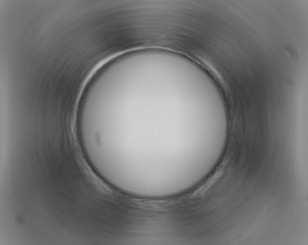 X0000113550932200909180956