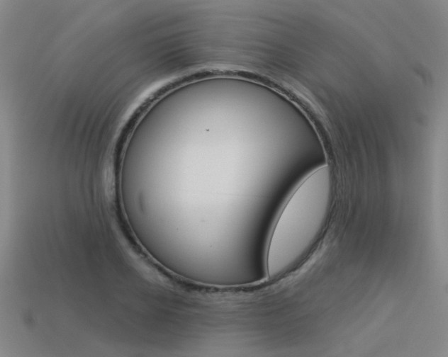 X0000113550934200909180956