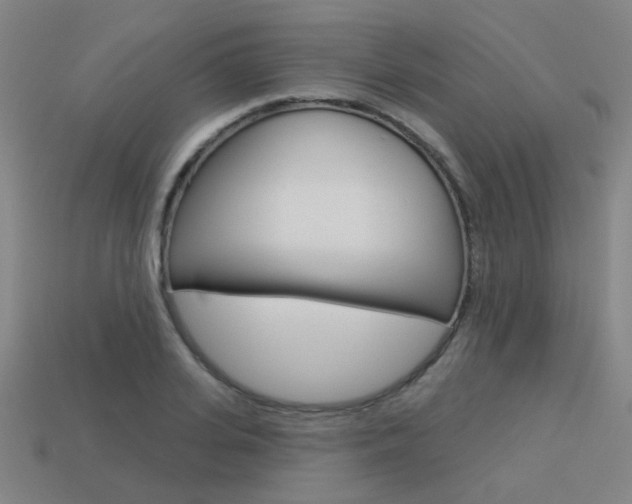 X0000113550935200909180956